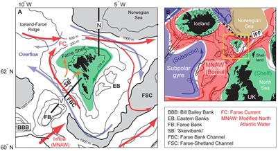 Horizontal and Vertical Migration of Anglerfish Lophius piscatorius in Relation to Hydrography in Faroese Waters